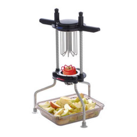 LT CAX104P|CAX106P |CAX1...